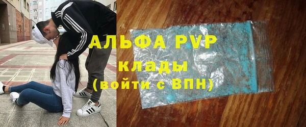 гашик Михайловск