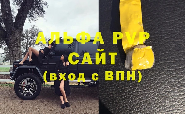 гашик Михайловск