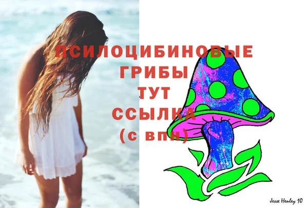 не бодяженный Михайлов