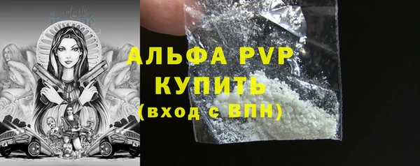 гашик Михайловск