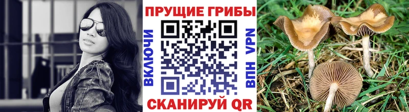 Галлюциногенные грибы Magic Shrooms  Инза 